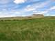 Auction- Northern MT Farm Land