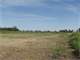 Cerified Organic Crop Land in Southern Wisconsin