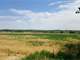 Farm Land with Many Potentials in a Beautiful NM Valley