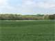 Farmers Dream in Northeast Kansas