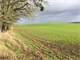 Great Future Vineyard Site with Wonderful Views