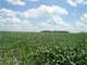 Highly Productive Crop Land Located in Sauk County Wisonsin Near Sauk City