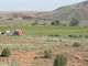 Irrigated Laser Leveled Acre Parcel ON the Little Colorado River