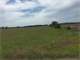 KS Farmland 160 Acres Two Parcels Crp and Cropland in Western Reno County