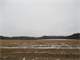 Prime Tillable Juneau County Farmland
