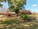 South Carolina Brick Ranch Home
