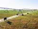 Texas Farm Ranch for Sale Auction